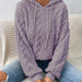 Color-Light Purple-Fall Winter Women Pullover Sweater Flannel Hooded Loose Plush Jacket-Fancey Boutique