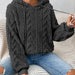 Color-Dark Grey-Fall Winter Women Pullover Sweater Flannel Hooded Loose Plush Jacket-Fancey Boutique