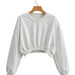 Color-Light Gray-Autumn Three Color round Neck Sweater Solid Color Short Top-Fancey Boutique
