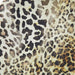 Women Animal Print Shirt Mini Skirt-Fancey Boutique