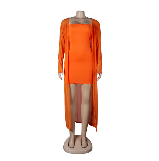Color-Orange-Sexy Mesh See-through Two-Piece Suit Nightclub Uniforms-Fancey Boutique