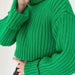 Color-Green-Autumn Winter Solid Color Thread Knitted Pullover High Collar Short Section Bottoming Shirt Sweater Women-Fancey Boutique