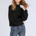 Color-Black-Women Autumn Winter Half High Collar Long Sleeves Thick Soft Glutinous Knitted Sweater-Fancey Boutique