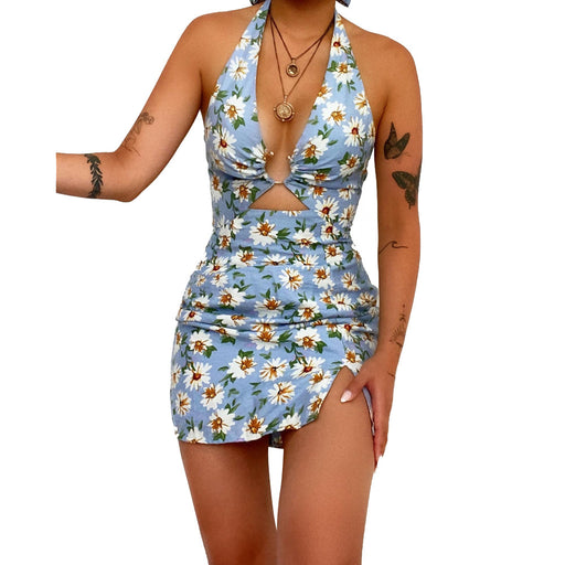 Summer Women Clothing Printed Sexy Halter Backless Dress Swimsuit-Blue-Fancey Boutique