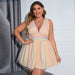 plus Size Women Clothes Sleeveless Deep V Plunge Sexy Dress High Waist Backless Rainbow Tulle ress Little Dress-Fancey Boutique