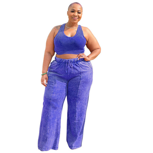 Color-Blue-Plus Size Women Clothing Sleeveless Cropped Outfit Short Top Elastic Waist Wide Leg Pants Set-Fancey Boutique