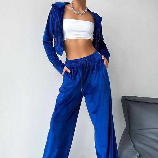 Color-Blue-Women Spring Clothing Hooded Long Sleeve Sweater Trousers Gold Velvet Two Piece Set-Fancey Boutique