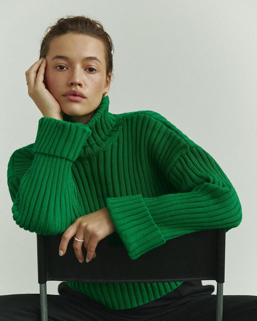 Color-Green-Autumn Winter Women Clothing Turtleneck Woolen Oversleeve Solid Color Short Sweater Women-Fancey Boutique