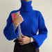 Color-Blue-Autumn Winter Solid Color Thread Knitted Pullover High Collar Short Section Bottoming Shirt Sweater Women-Fancey Boutique
