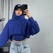 Women Wear Thick Drawstring Solid Color Hoodie with Drawstrings Sweater Long Sleeve Vest Two Piece Set-Fancey Boutique