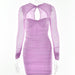 Color-Purple-Summer Hollow Out Cutout Low Cut Dress Women Sexy Sexy Sheer Long Sleeve Skinny Hip Dress-Fancey Boutique