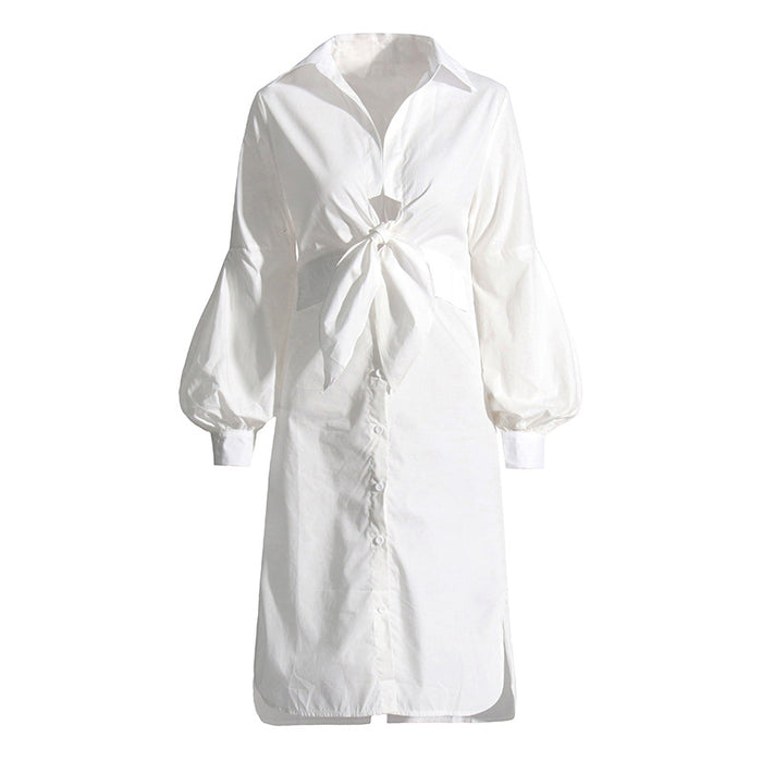 Color-White-Elegant Shirt Dress Spring Polo Collar Long Sleeve Waist Slimming Dress-Fancey Boutique