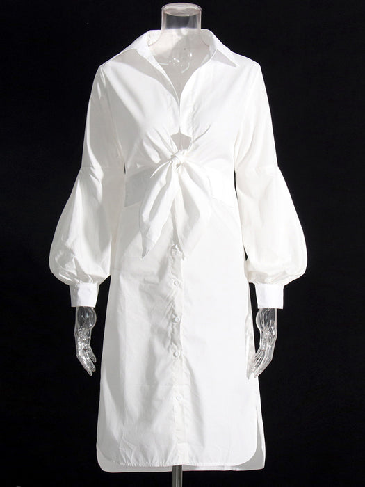 Color-White-Elegant Shirt Dress Spring Polo Collar Long Sleeve Waist Slimming Dress-Fancey Boutique