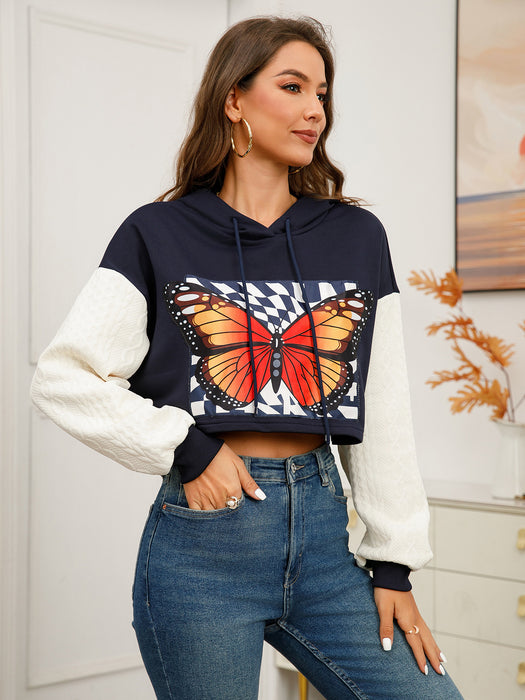 Color-Black-Autumn Winter Butterfly Printed Hooded Long Sleeve Contrast Color Pullover Sweater-Fancey Boutique