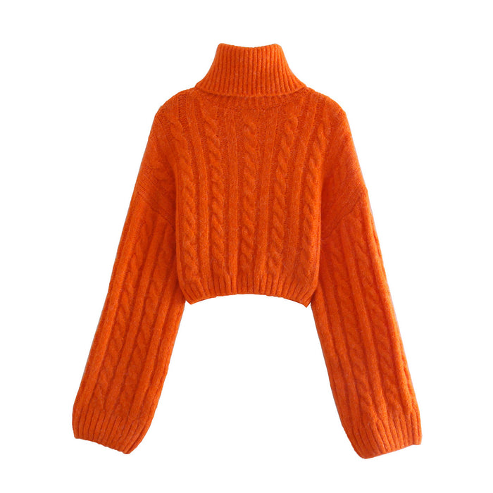 Color-Autumn Women Clothing Eight Strand Knitted Short Sweater Turtleneck Sweater-Fancey Boutique