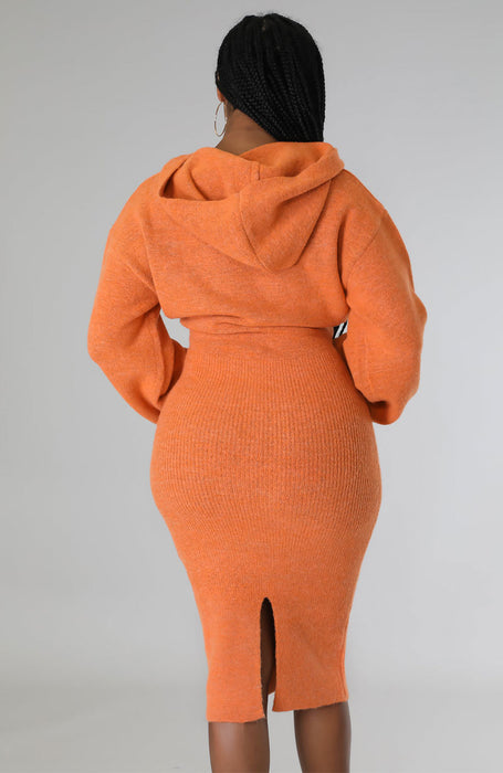 Color-WomenClothing Dress Long Sleeve Solid Color Dress Autumn-Fancey Boutique