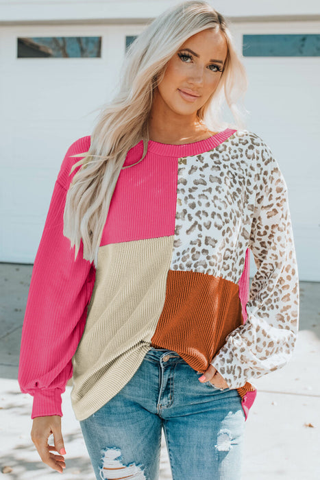 Color-Contrast Color Top Women Spring Autumn Leopard Print round Neck Long Sleeve Sweater Women-Fancey Boutique
