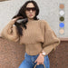 Color-Fall/winter Long-sleeved Knitted Women Solid Color Thick Needle Loose Warm Sweater-Fancey Boutique