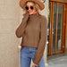 Color-Turtleneck Twist Sweater Women Autumn Winter Solid Color Knitted Top High Collar Bottoming Shirt-Fancey Boutique