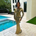 Color-Summer Solid Color Metallic Coated Fabric Round Neck Long Sleeve Narrow Backless Long Glossy Dress-Fancey Boutique