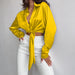 Color-Yellow-Spring Collared Long Sleeve Cropped Women Cropped Top-Fancey Boutique