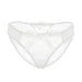 Color-White-Lace See Through Mesh Sexy Ladies Panties-Fancey Boutique