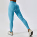 Color-Blue-High Waist Seamless Yoga Pants Women Hip Lifting Fitness Tights Outer Wear Running Skinny Workout Pants-Fancey Boutique