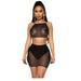 Color-Black-Supply September New Sexy Black Transparent Mesh Starry Sky Sexy Suit-Fancey Boutique