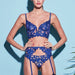 Color-Underwear 3 Piece Suit with Steel Ring Push up Deep V Plunge Plunge Ultra-Thin Yarn Embroidered Sexy Bra Garter Underwear-Fancey Boutique