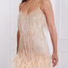 Color-Tassel Sequ Feather Stitching Dress-Fancey Boutique