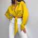 Color-Spring Collared Long Sleeve Cropped Women Cropped Top-Fancey Boutique