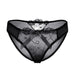 Color-Black-Lace See Through Mesh Sexy Ladies Panties-Fancey Boutique