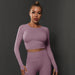 Color-Long Sleeve-Light Purple-Seamless Knitted Solid Color Peach Tight T Shirt Top Fitness Exercise Yoga Clothes Moisture Absorption Body Shaping Long Sleeve Women-Fancey Boutique