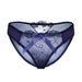 Color-Blue-Lace See Through Mesh Sexy Ladies Panties-Fancey Boutique