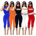 Color-Women Clothing Sexy Sleeveless Half Turtleneck Cropped Pants Two-Piece Solid Color Elastic Suit for Women-Fancey Boutique